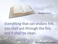 Numbers 31:23